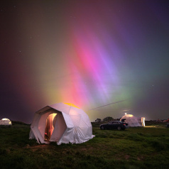The Aurora